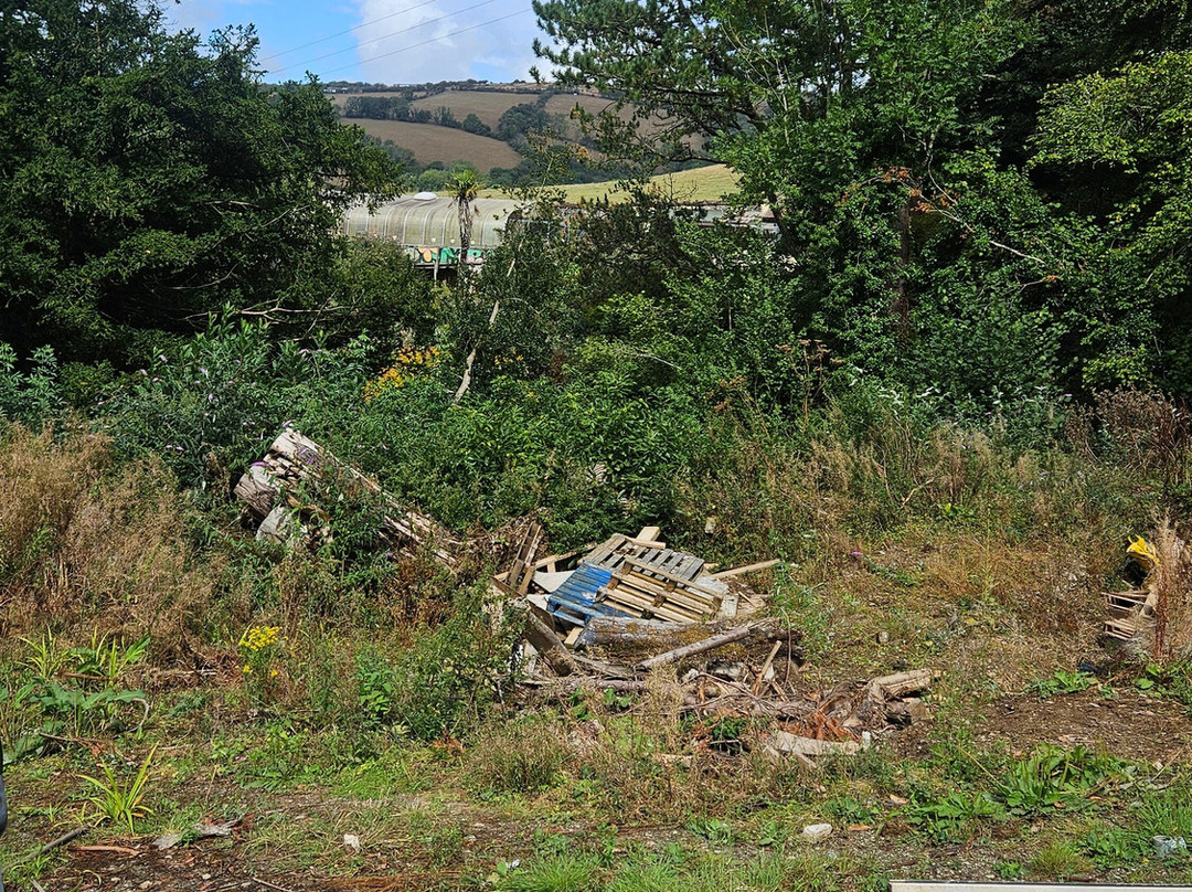 Combe Martin Wildlife And Dinosaur Park-伊尔弗勒科姆必去景点