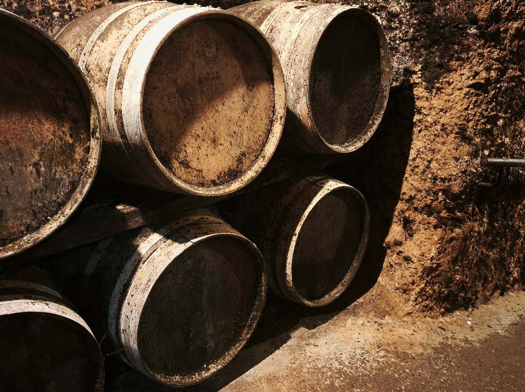 Bodegas Carlos San Pedro Perez de Vinaspre-拉瓜迪亚必去景点