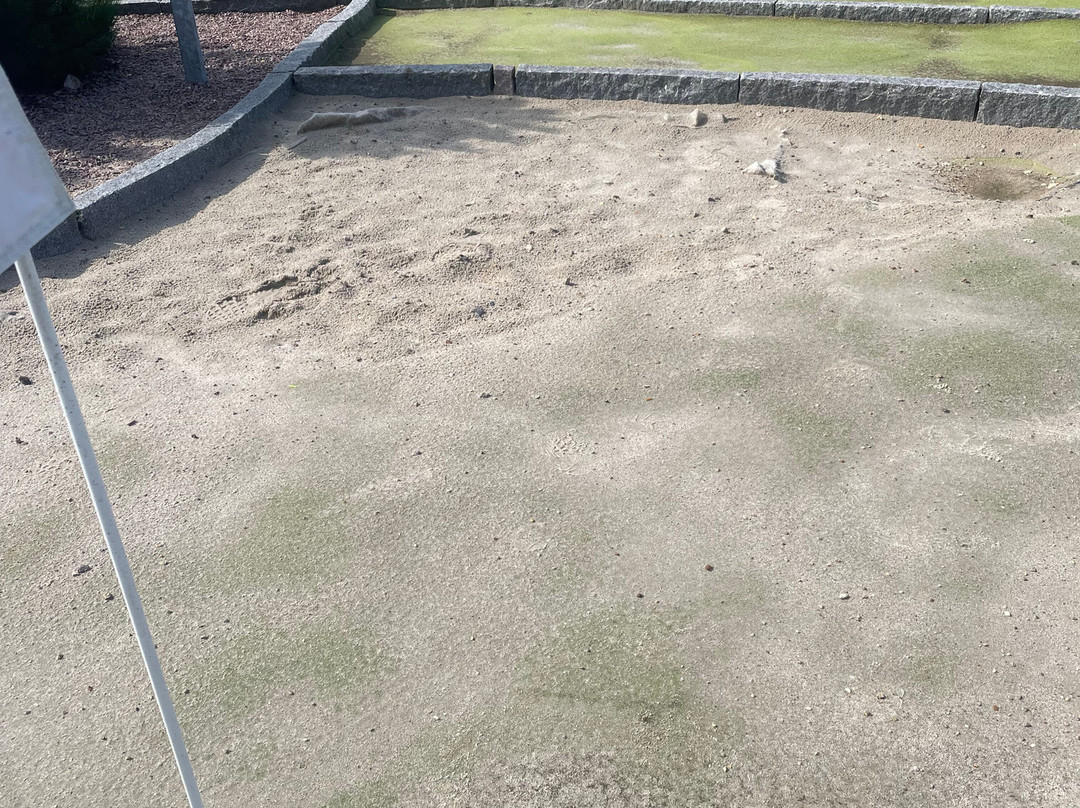 Henne Strand Resort主图