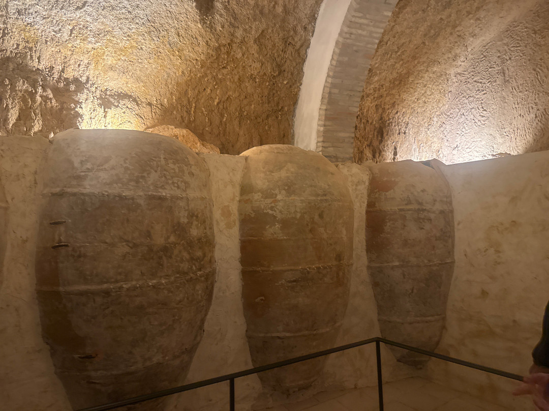 Bodegas Subterraneas Puerta Nueva