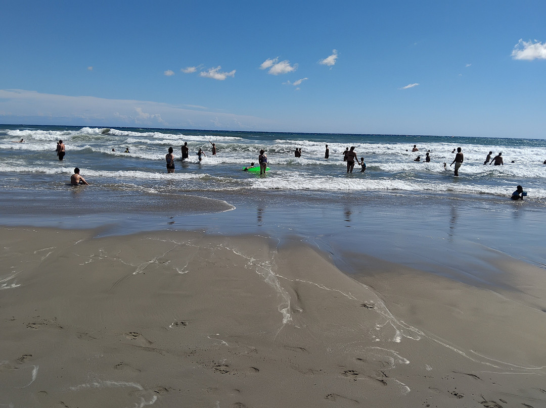 Surf Beach