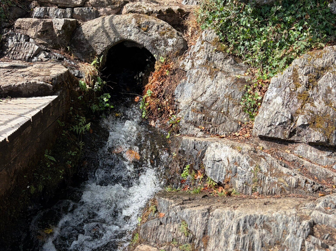 Canonteign Falls-Christow必去景点