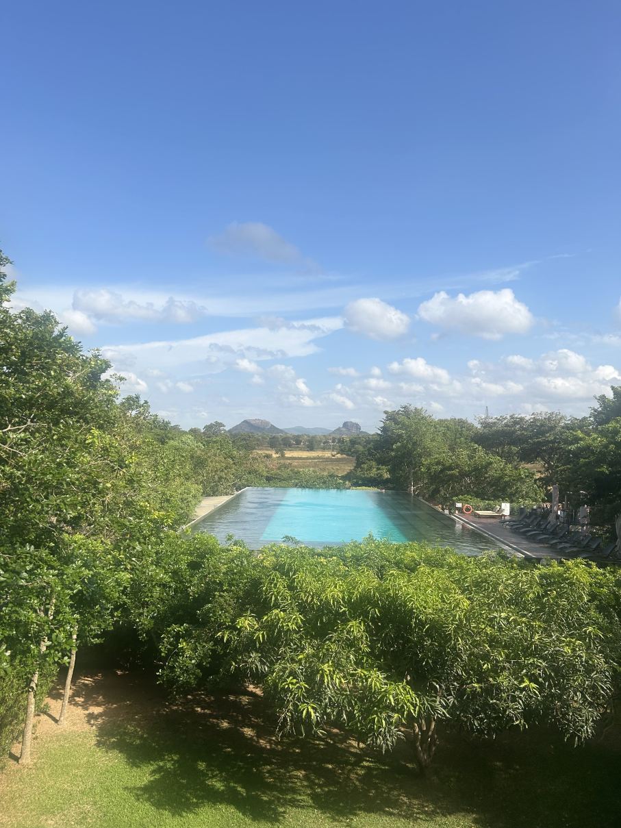 阿丽雅度假水疗中心 · 黛玛系列-旅行者