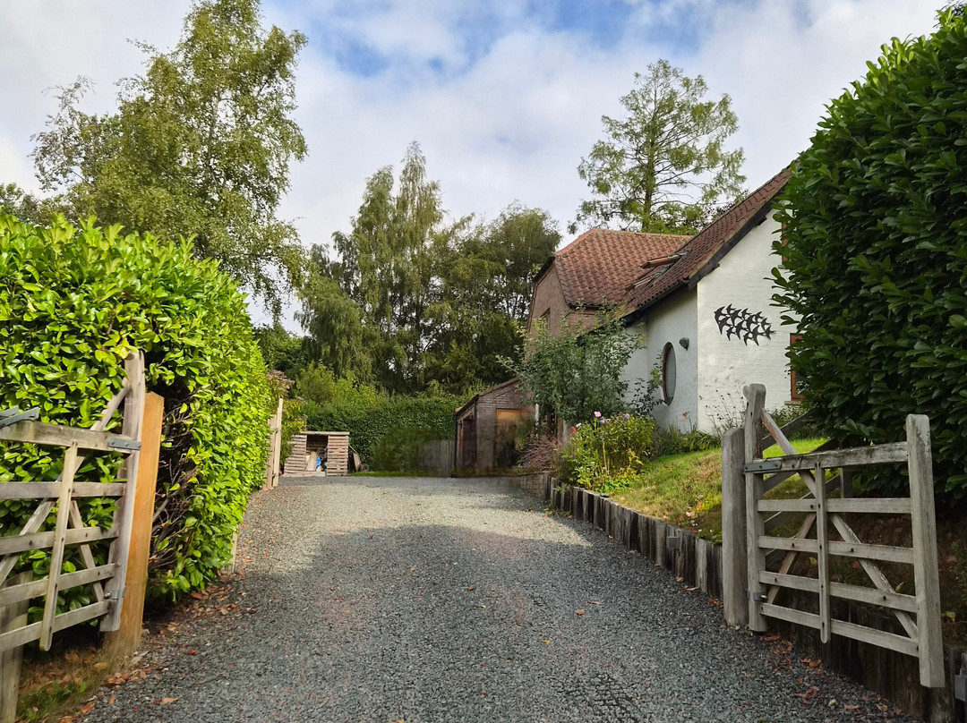 Holly Cottage B & B