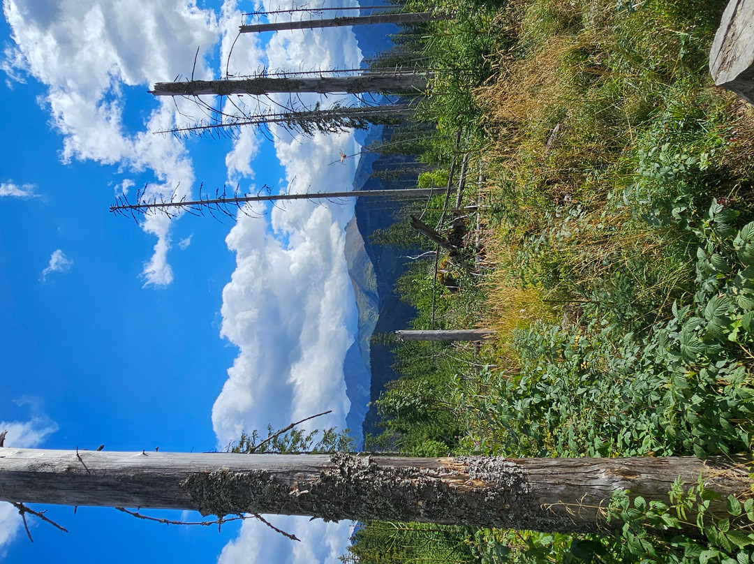 Tatras National Park-Tatranska Lomnica必去景点