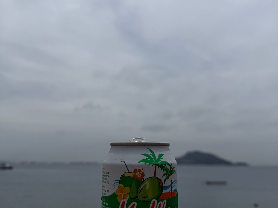 Playa de la Isla Taboga-塔沃加岛必去景点