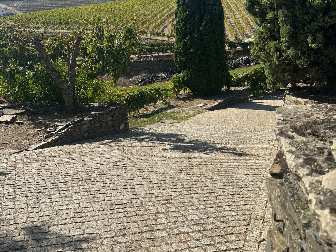 Quinta da Padrela-Tabuaco必去景点