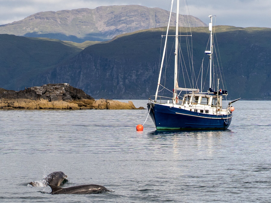 Seafari Adventures (Oban)-Ellenabeich必去景点