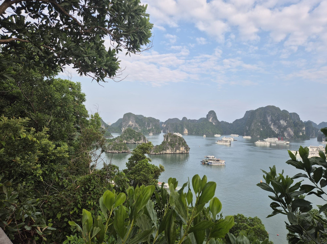 Aime'e Cruises-Quang Ninh必去景点