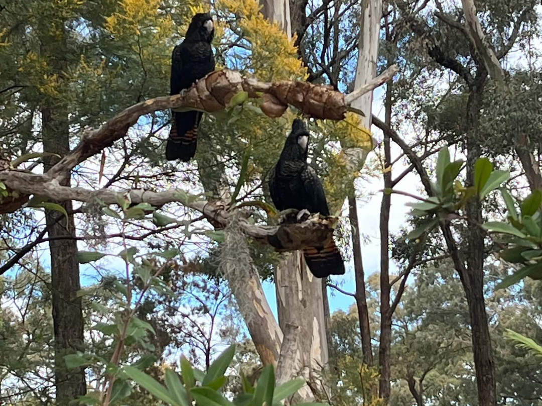 Feathered Friends-Orchard Hills必去景点