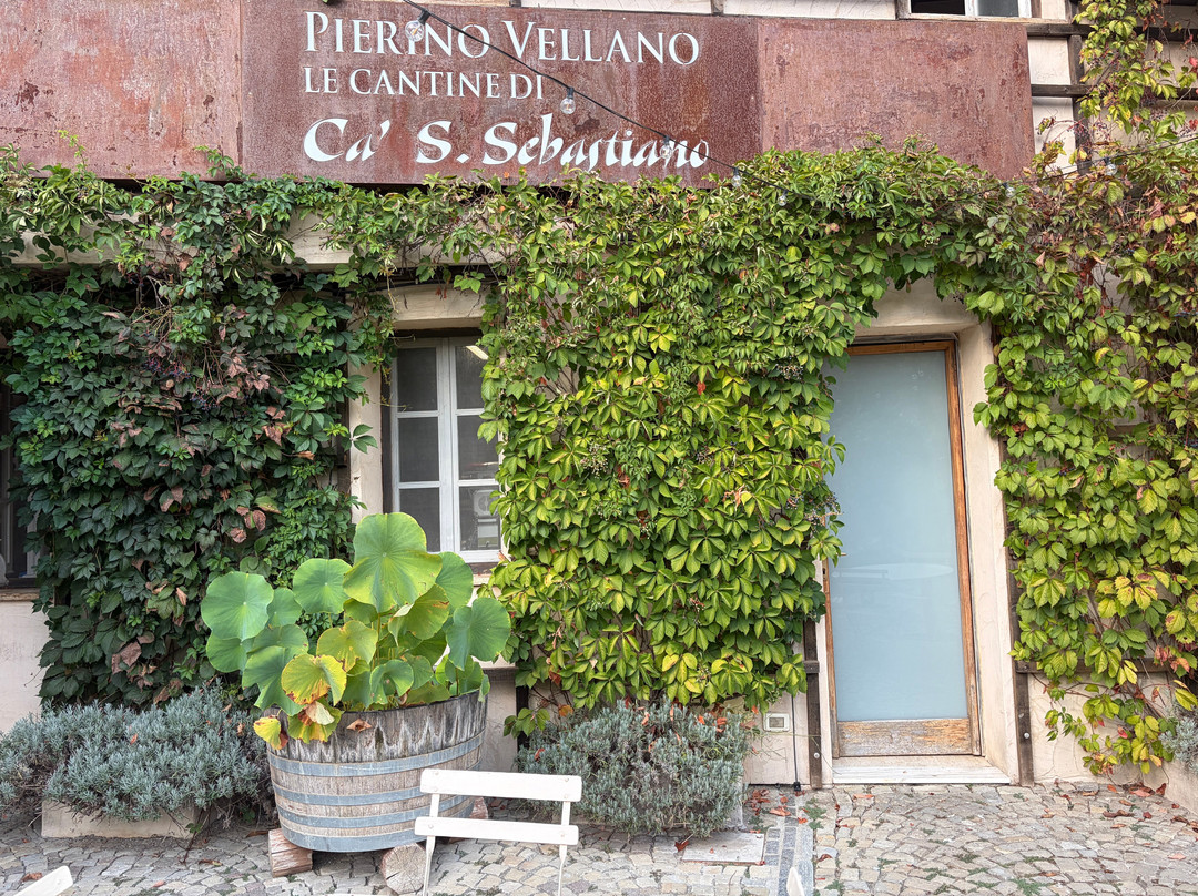 Pierino Vellano - la Cantina di Ca' San Sebastiano-Camino必去景点