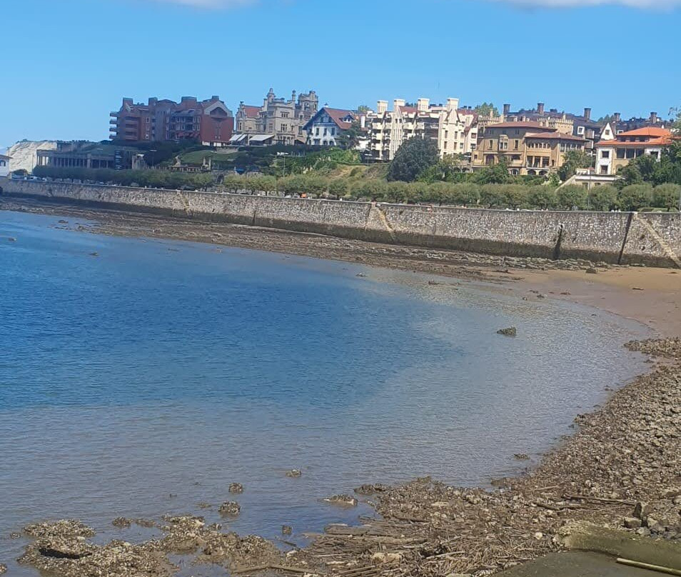Puerto Viejo-格乔必去景点