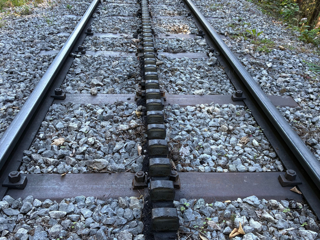 Wendelsteinbahn-Brannenburg必去景点