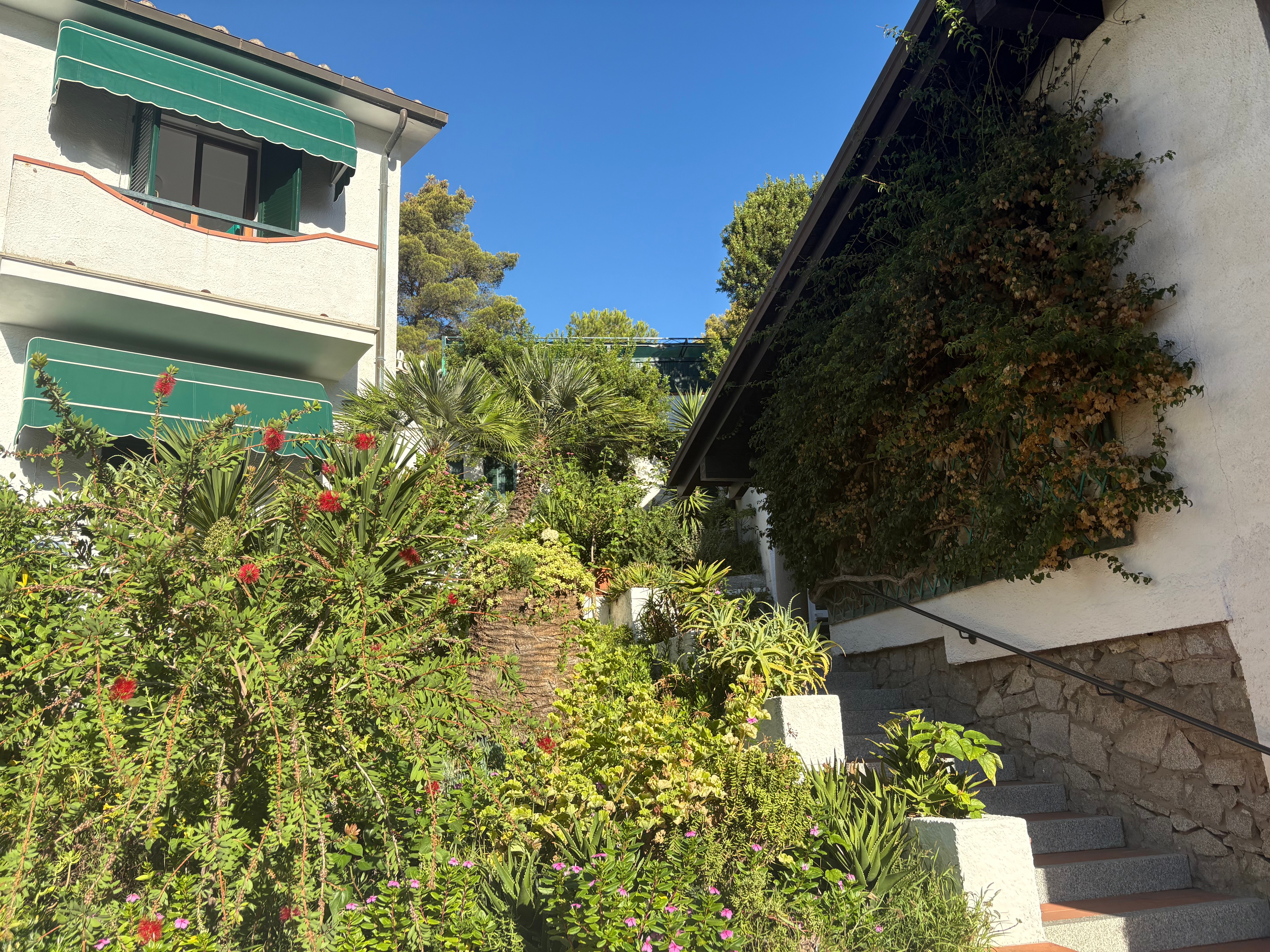 瓦莱维德酒店-旅行者