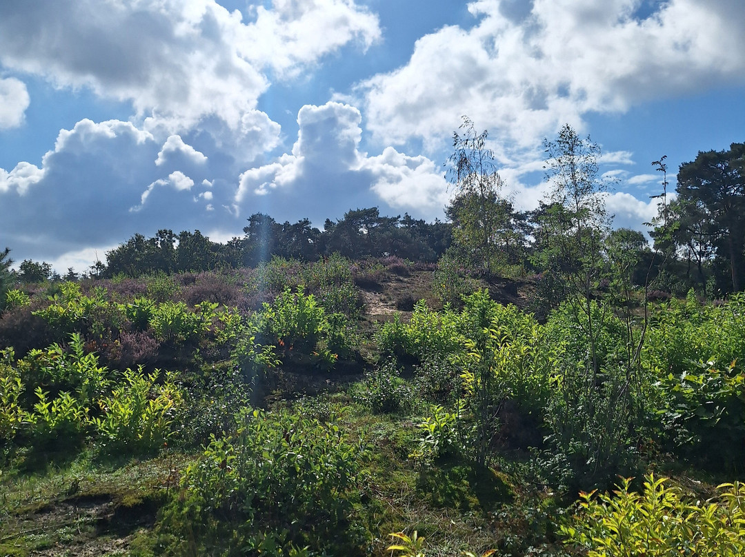Hatertse En Overasseltse Vennen-Overasselt必去景点