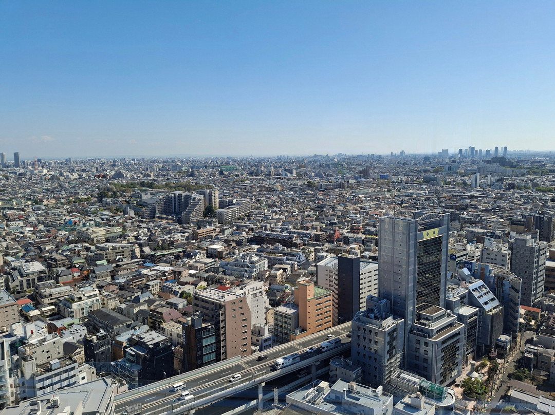 胡萝卜塔-世田谷区必去景点