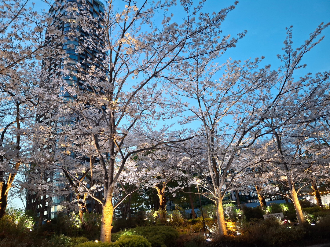Tokyo Midtown Garden-Akasaka必去景点