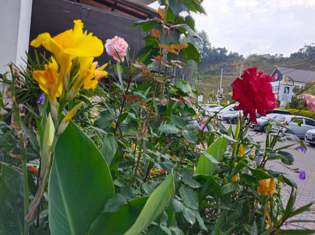 迪拉芬斯酒店主图