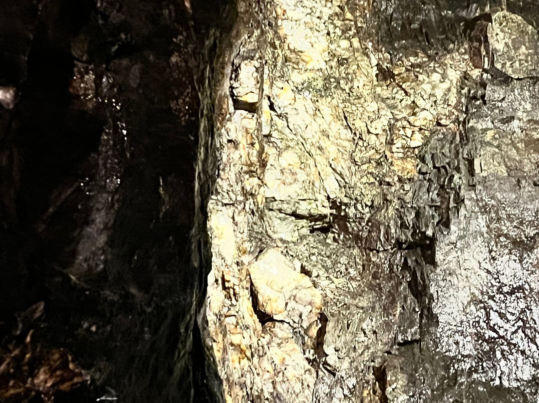 Consolidated Gold Mine-达洛尼加必去景点