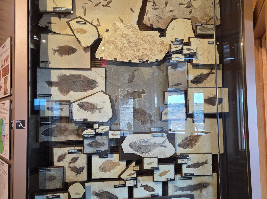 Fossil Butte National Monument-Kemmerer必去景点