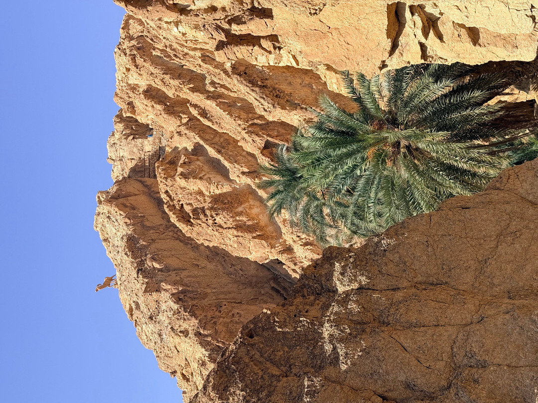 Autre Tunisie Day Tours-Houmt Souk必去景点