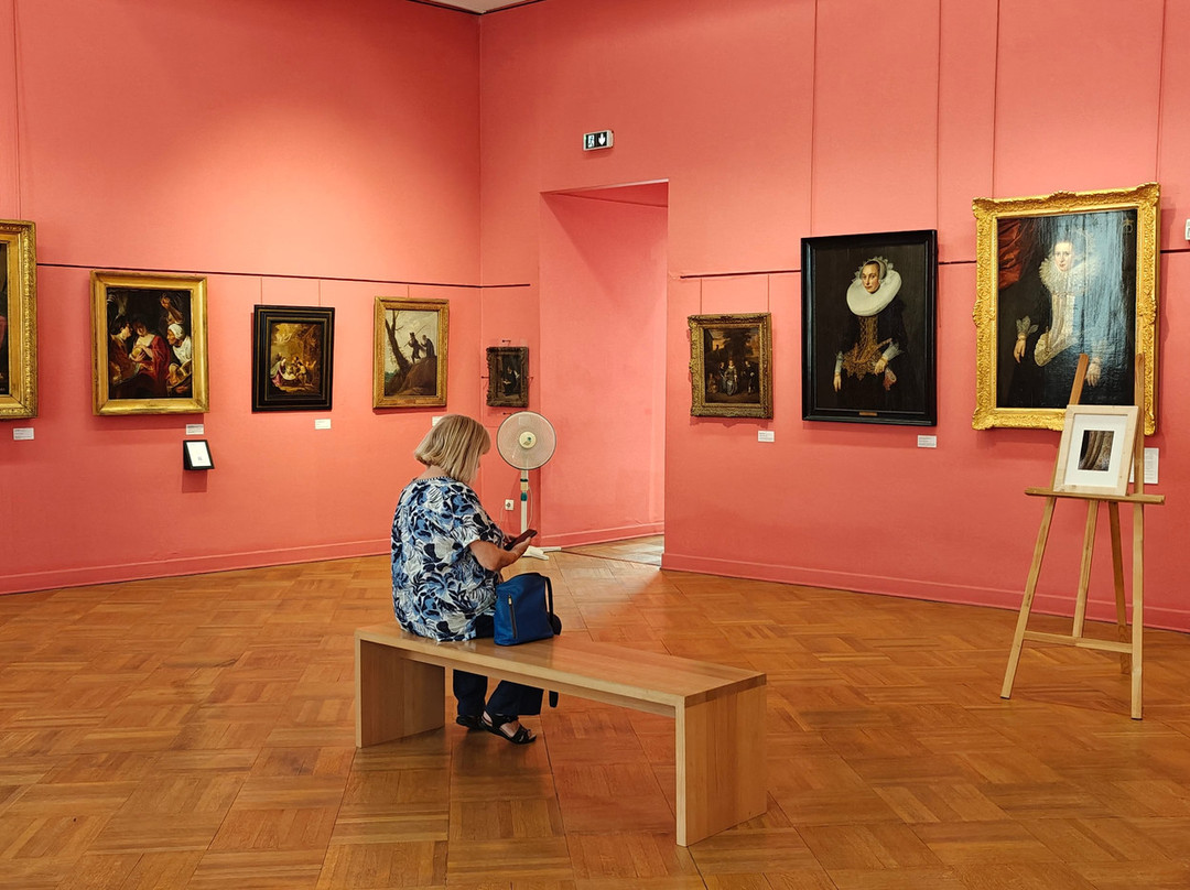 Musée des Beaux-Arts-卡尔卡松必去景点