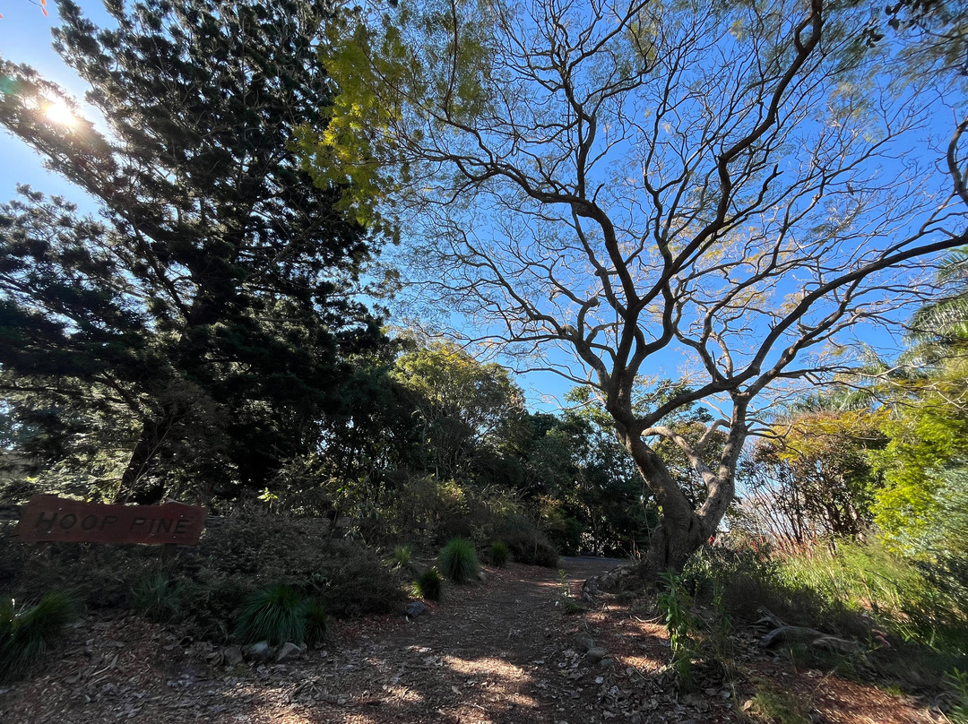 Noosa Botanic Gardens-Cooroy必去景点