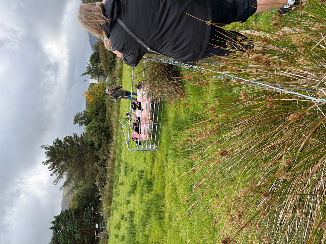 Glen Keen Farm-Derryheigh必去景点