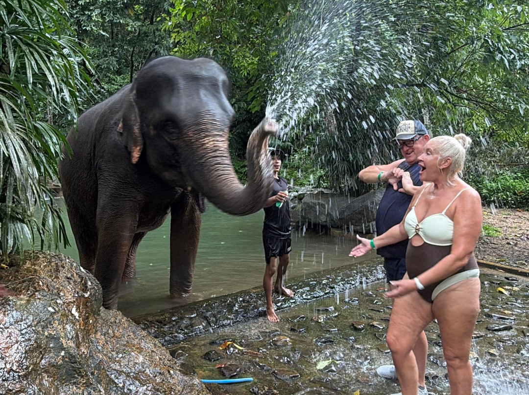 Phang Nga Elephant Park-攀牙必去景点