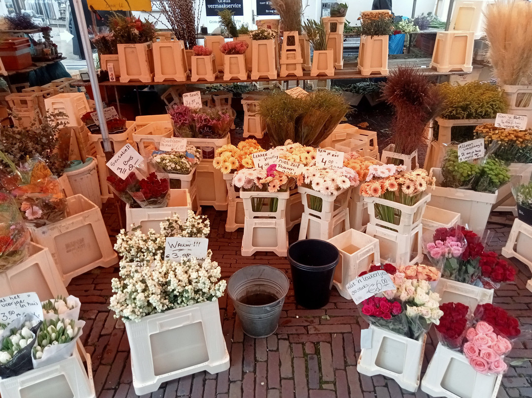 Zaterdagmarkt Haarlem-哈勒姆必去景点
