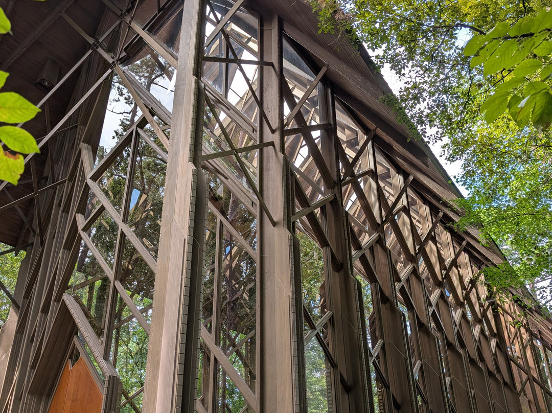 Garvan Woodland Gardens-温泉城必去景点