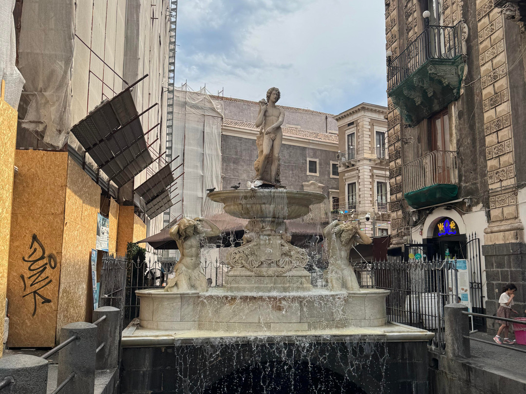 Fontana dell'Amenano-卡塔尼亚必去景点
