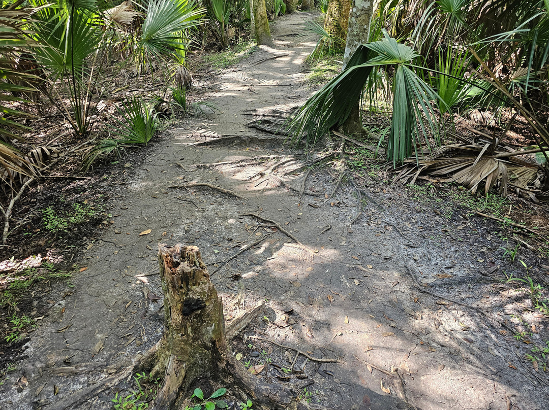 Black Bear Wilderness Area-桑福德必去景点