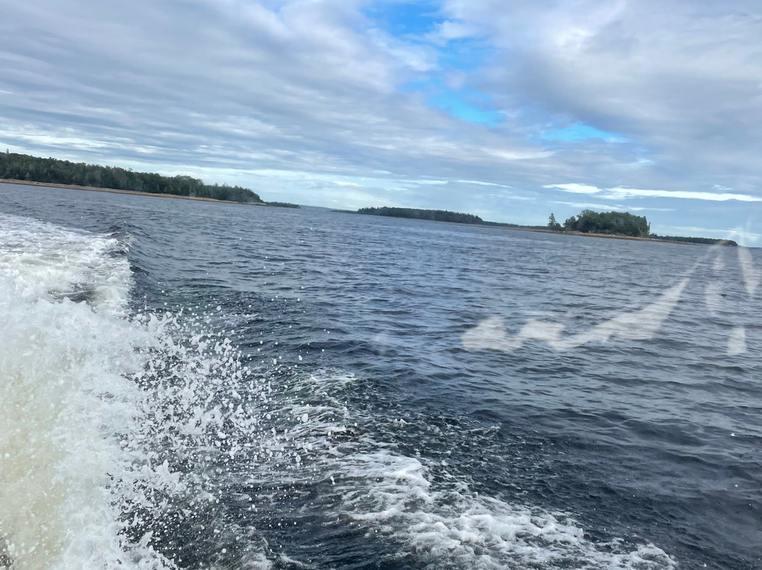 Salty Dog Sea Tours-Oak Island必去景点
