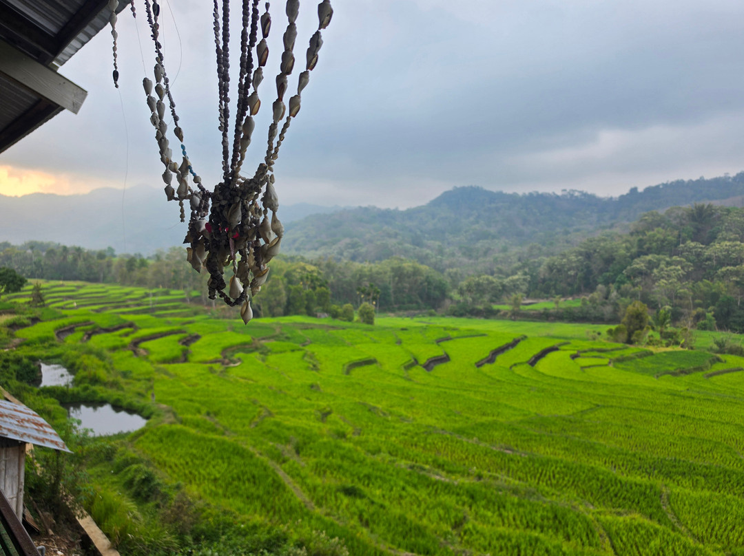 Flores Pristine Tour-Labuan Bajo必去景点