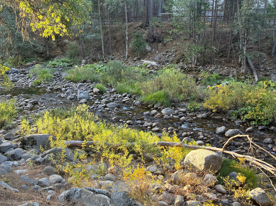 Yosemite 360 Tours-菲什营必去景点