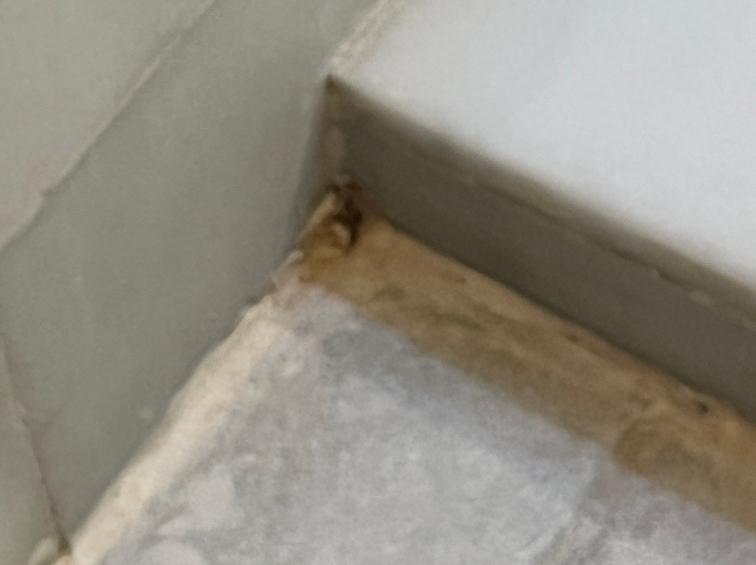 巴西亚普林西佩华丽逍遥湾酒店 - 限成人- 全包式主图