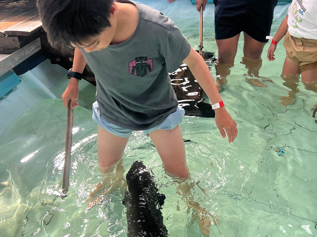 Port Stephens Animal Adventures-Bobs Farm必去景点