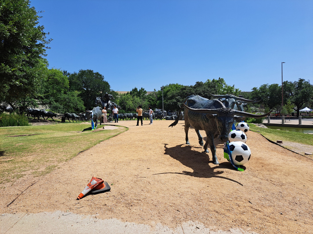 Dallas Cattle Drive Sculptures-达拉斯必去景点
