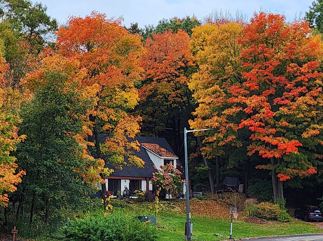 La Promenade Samuel-De Champlain-魁北克市必去景点