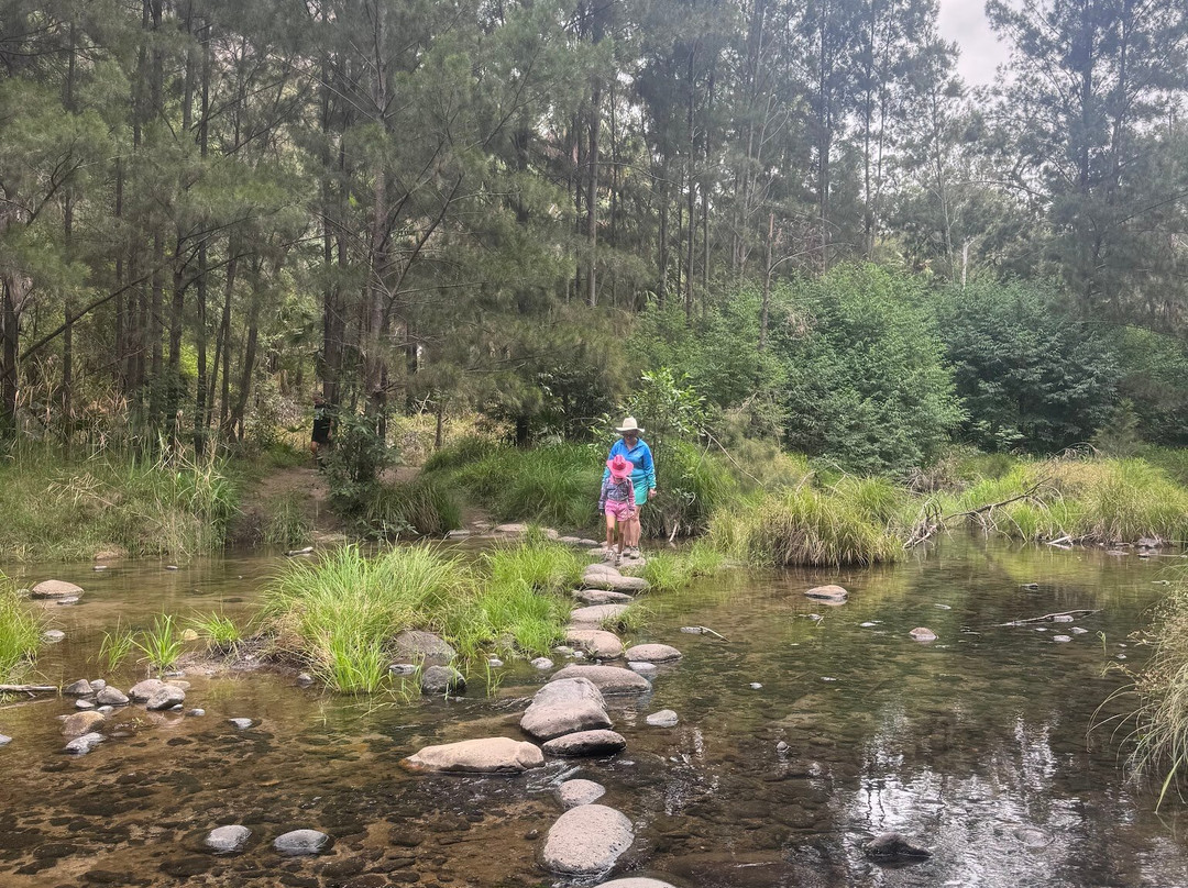 Carnarvon Gorge-Carnarvon National Park必去景点