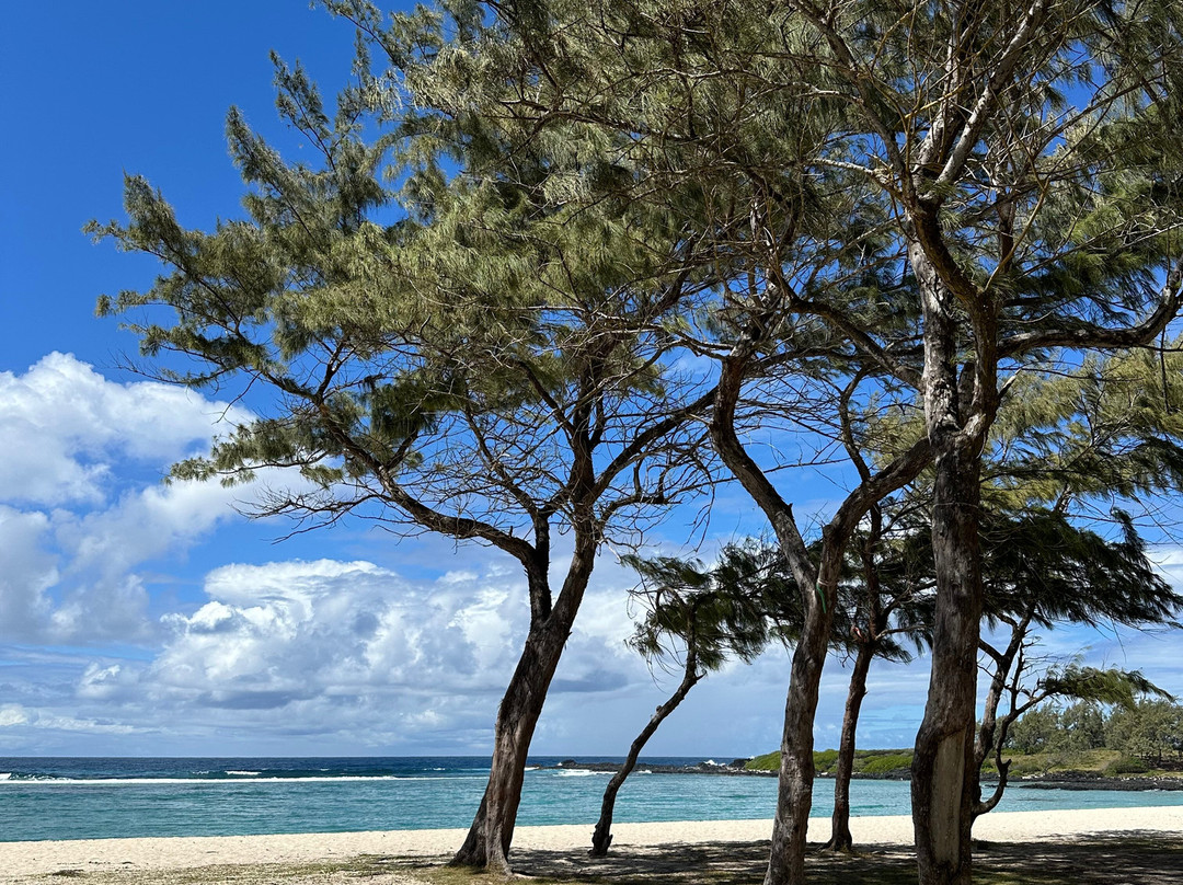 La Cambuse Beach-Le Bouchon必去景点