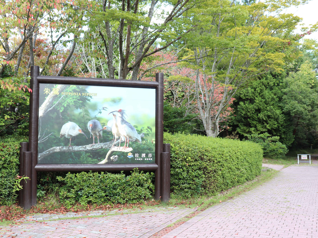 Toki no Mori Park-佐渡市必去景点