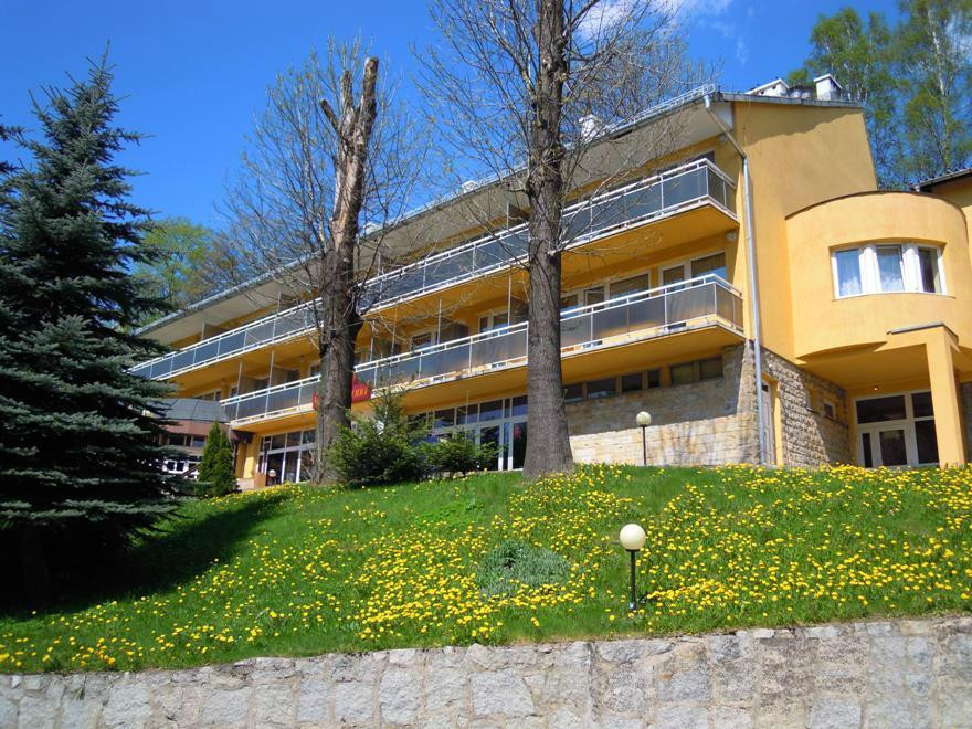 Hotel Wiktoria