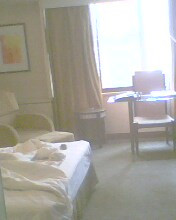 岁宝天鹅饭店主图