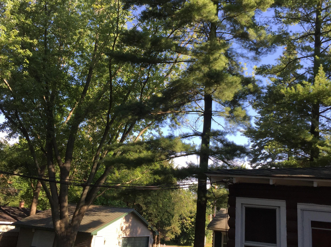 Williams Bay酒店住宿-Harbor View Inn