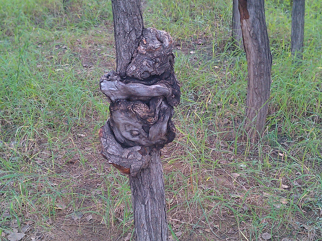 野鸭湖自然保护区-北京市必去景点