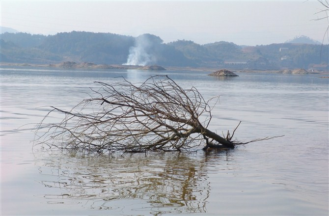 青山湖景点图片