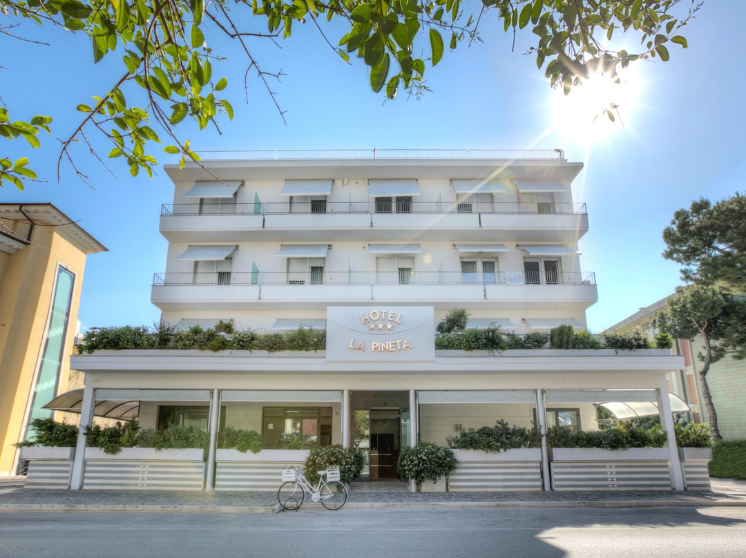 Pineto酒店住宿-Hotel La Pineta