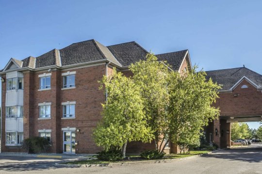 Comfort Suites London-官方